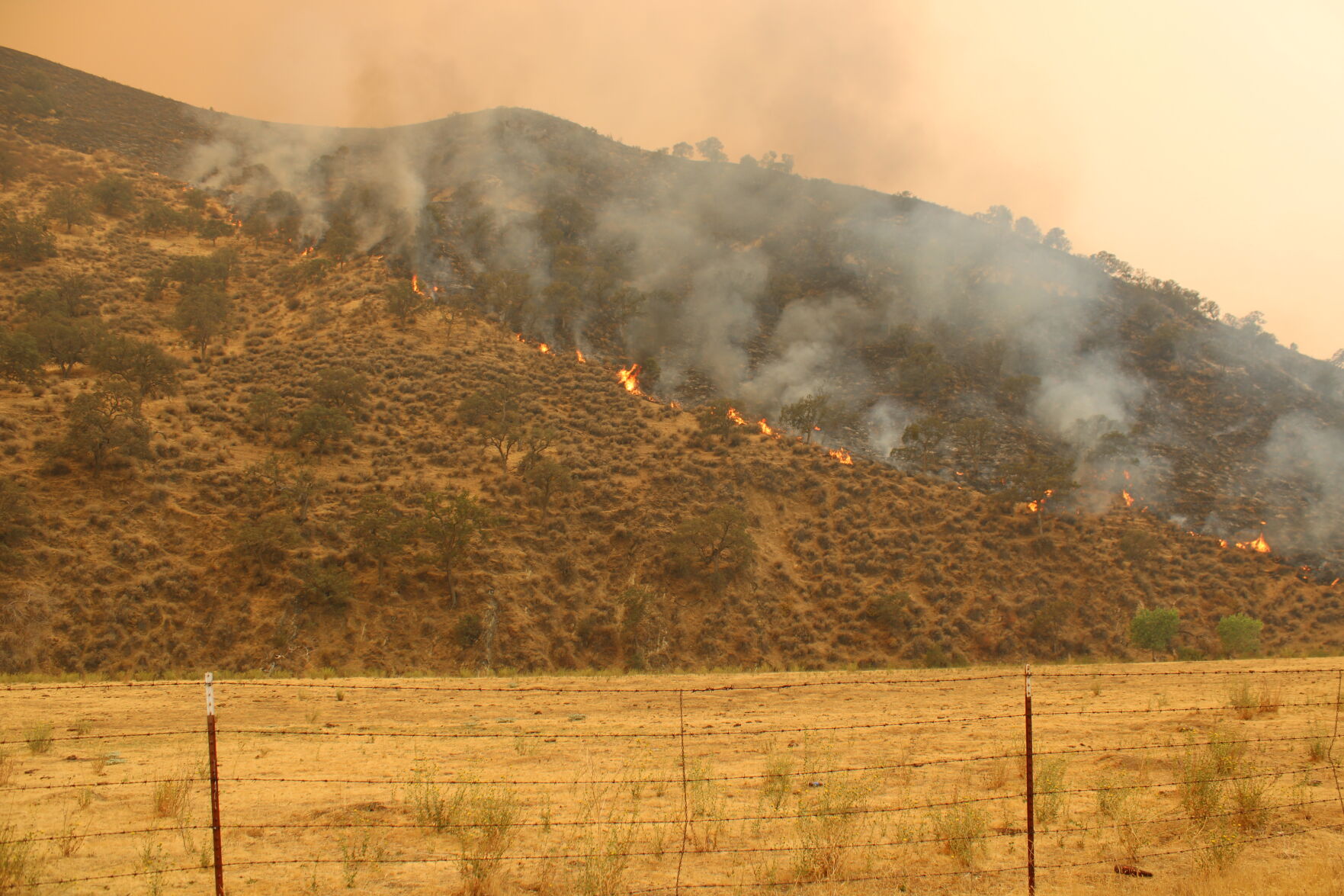 Del Puerto Canyon fire update